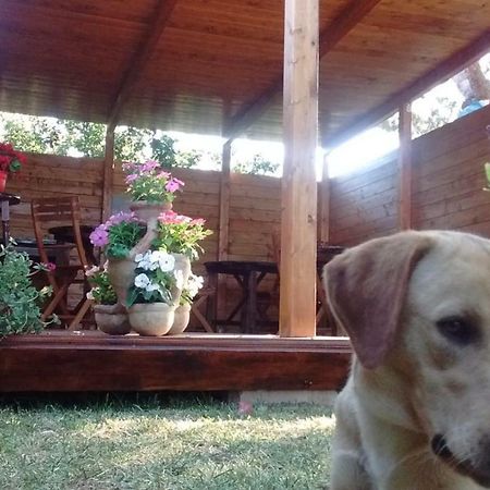 Bed and Breakfast La Contea SantʼAnna Arresi Exterior foto