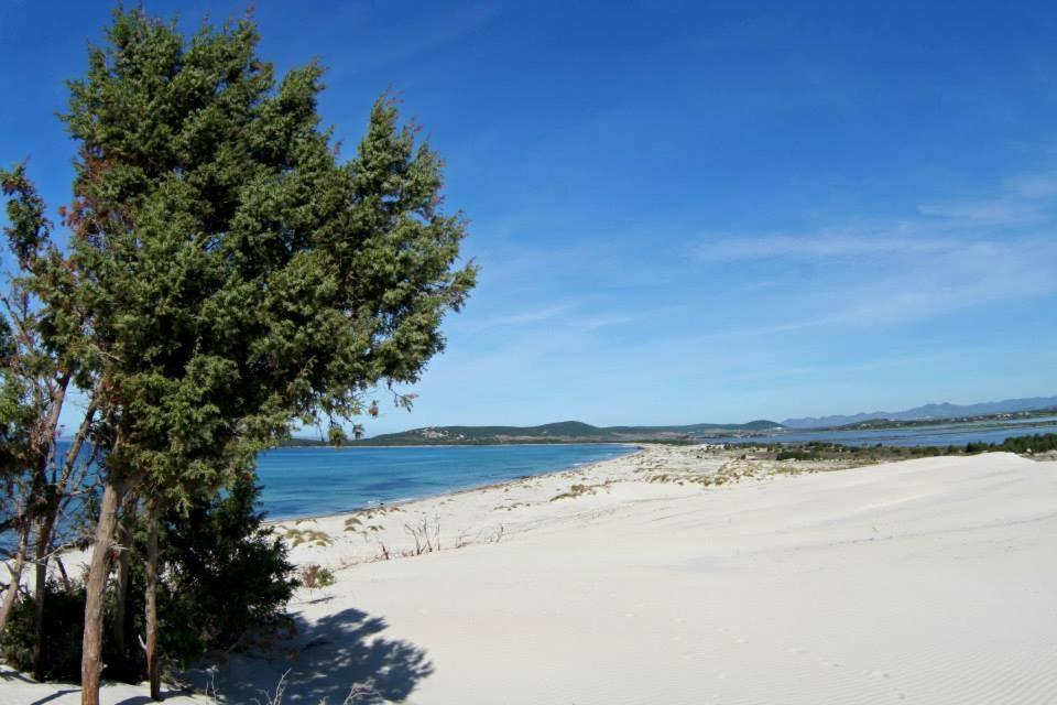 Bed and Breakfast La Contea SantʼAnna Arresi Exterior foto