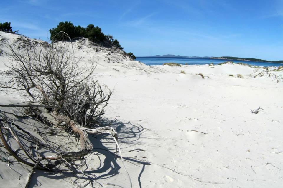 Bed and Breakfast La Contea SantʼAnna Arresi Exterior foto