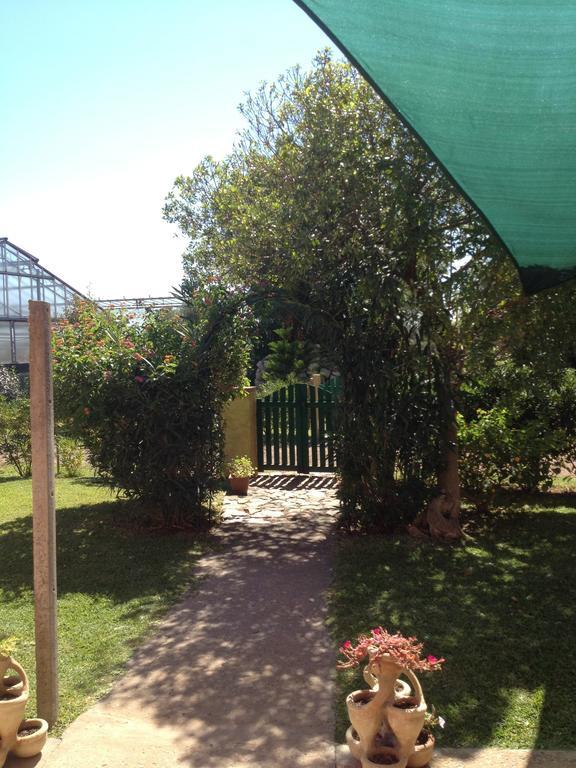 Bed and Breakfast La Contea SantʼAnna Arresi Exterior foto