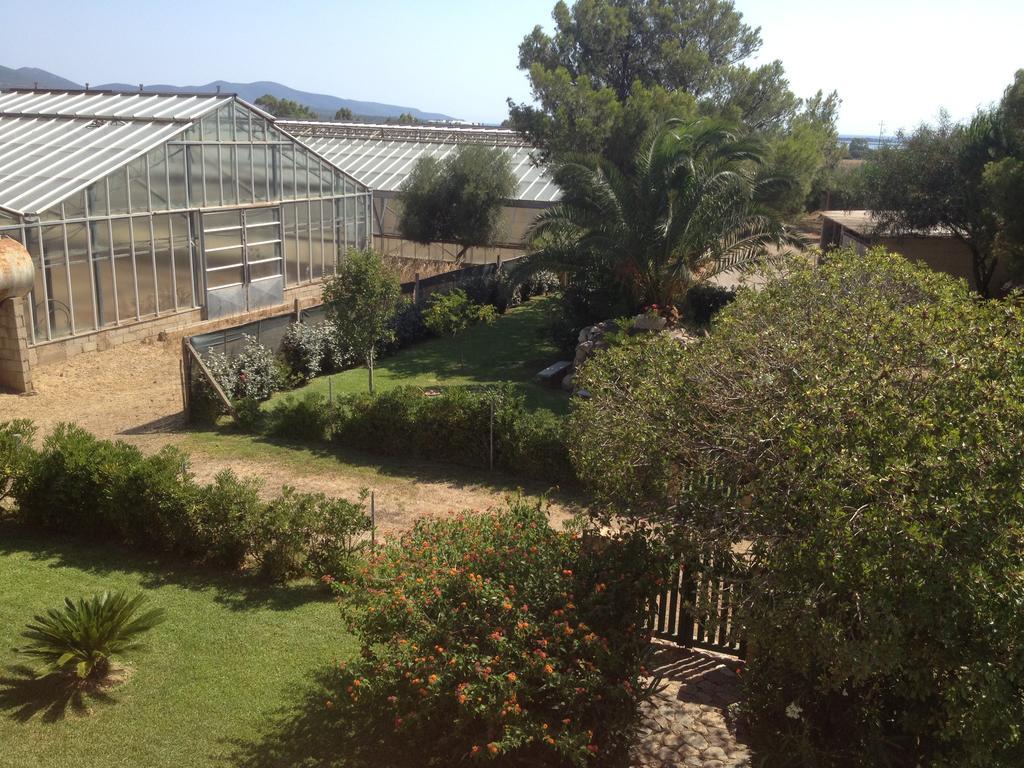 Bed and Breakfast La Contea SantʼAnna Arresi Exterior foto