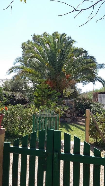 Bed and Breakfast La Contea SantʼAnna Arresi Exterior foto