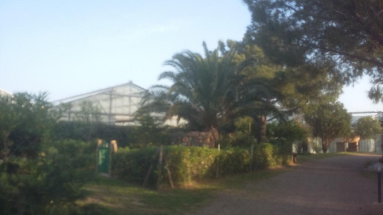 Bed and Breakfast La Contea SantʼAnna Arresi Exterior foto